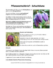 Steckbrief-Schachblume.pdf